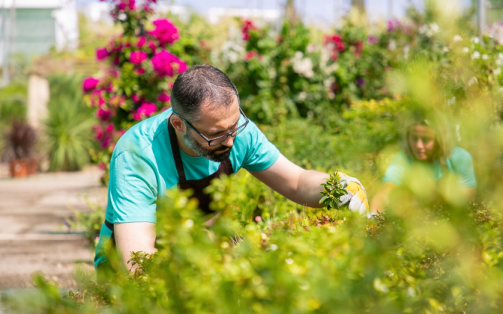 Paysagiste, Lanouaille