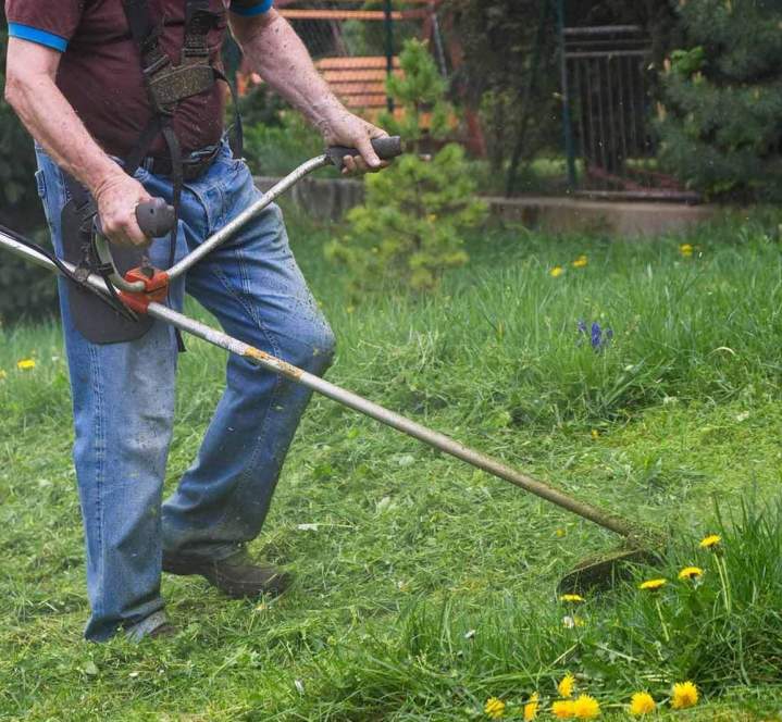Débroussaillage Périgueux