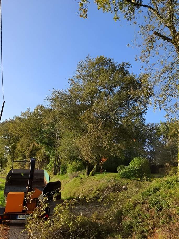 désherbage terrain Périgueux