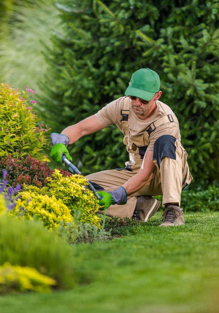 Ground maintenance Périgueux