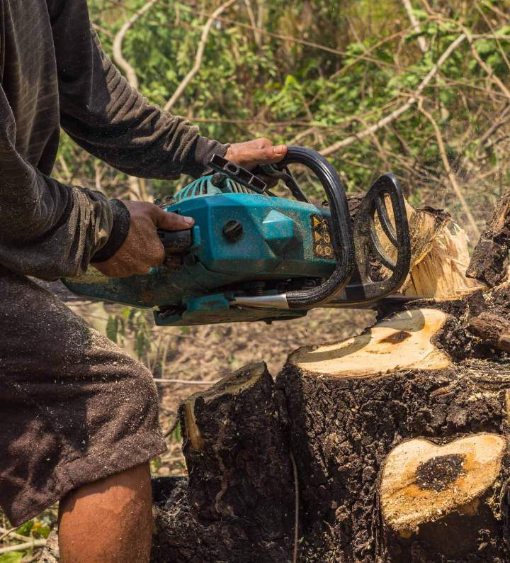 Abattage d'arbres difficiles Périgueux