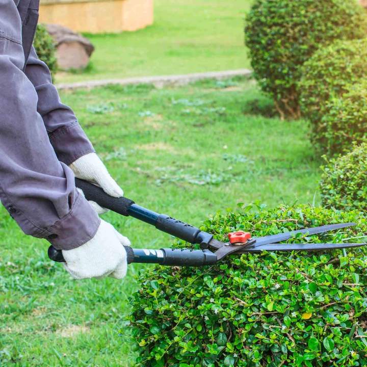 Prestations complètes pour un jardin soigné toute l'année